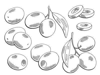 橄榄矢量集图片-橄榄矢量集素材-橄榄矢量集插画-摄图新视界