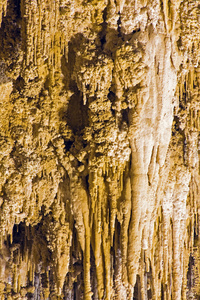 卡尔斯巴德洞穴国家公园 地名 美国 卡尔斯巴德洞穴国家公园