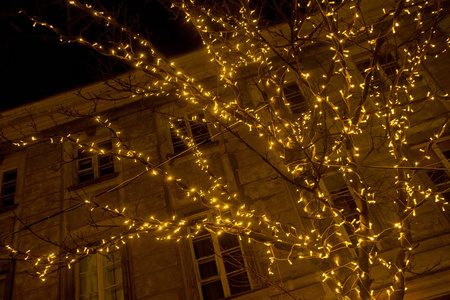 城市街道上的圣诞树上的节日彩灯