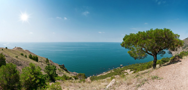 海景画图片