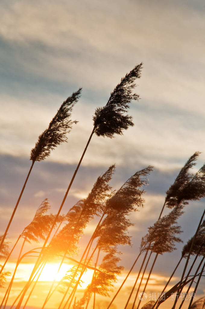 日落(时),薄暮 晚霞 黄昏照片-正版商用图片03mgej-摄图新视界