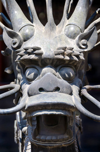 北京紫禁城内的观赏龙