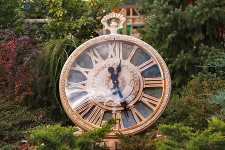 近距离装饰复古手表在公园。季节变化的概念