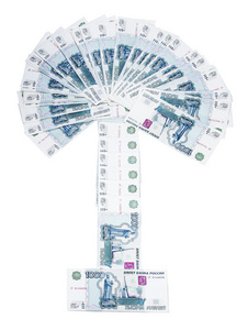 金钱树是财富增长的象征