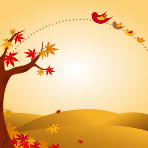 秋天的风景树五颜六色的叶子和鸟