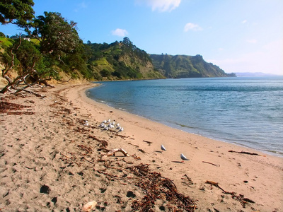 新西兰海滩场景