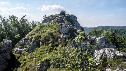 在斯洛伐克 Lucanska Fatra 山脉的洛基奥斯特拉斯卡拉山