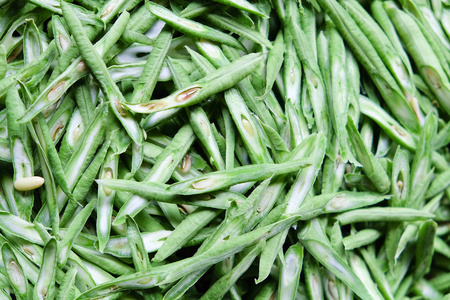 豇豆豆图片