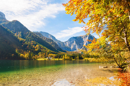 Vorderer Langbathsee 湖在奥地利阿尔卑斯山