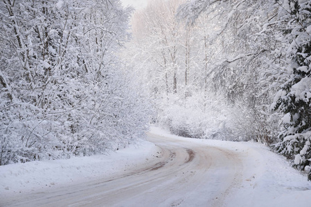 农村公路弯在冬季森林
