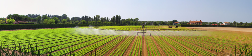 全景灌溉田图片