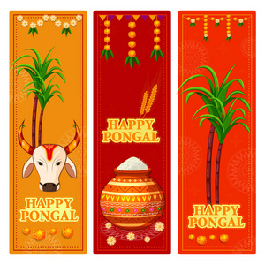 愉快的 Pongal 宗教节日南印度庆祝背景