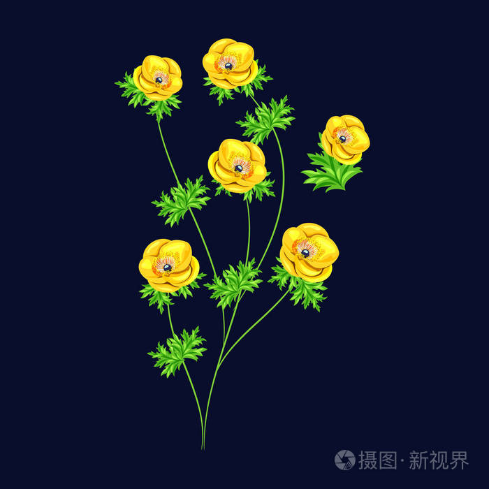 向量，束鲜花