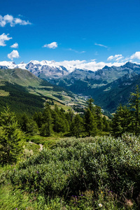 美丽和放松的 mountainscape 和松树林