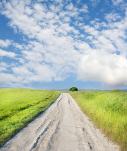 绿色草地的道路