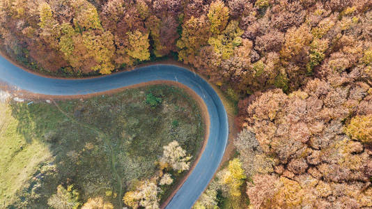 穿越红树林蜿蜒曲折的山中道路鸟瞰