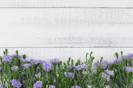 紫色剪花在白色木头背景与拷贝空间的绿色分支