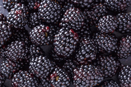 关闭了新鲜黑莓在深色背景上