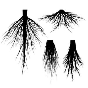 轮廓树根向量集, 黑色自然元素设计