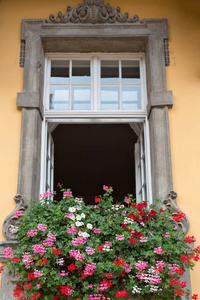 旧窗口与鲜花