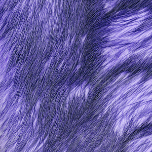 描绘成紫狐狸皮毛纹理背景图片