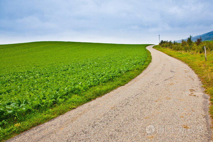 耕地和农村道路