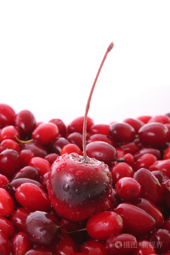 白色背景的蔓越莓