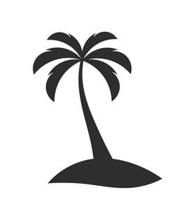 岛上的单棕榈树