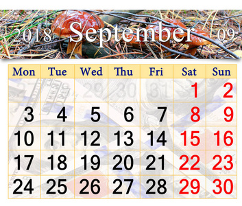 2018 年 9 月与蘑菇的粘盖牛肝菌日历