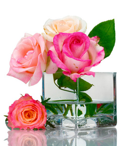 透明花瓶里的美丽玫瑰与白色隔离