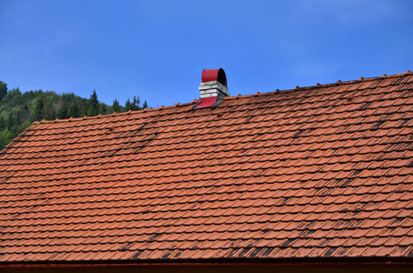 这个方形瓷砖的屋顶是红色的。第十九世纪富豪住宅的旧型屋面覆盖