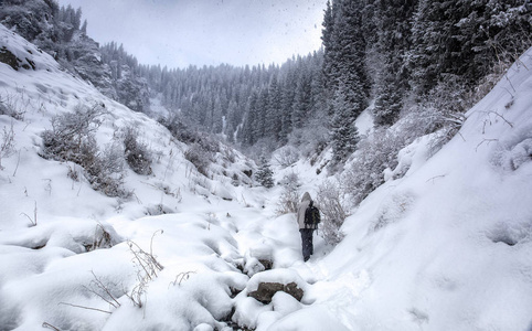 Butakov 峡谷的降雪, 横贯伊犁山脉的 Alatau。哈萨克斯坦阿拉木图