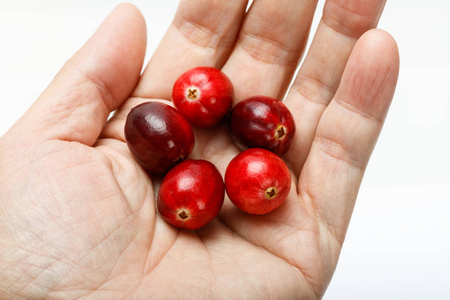 红色新鲜的生红莓在白色背景上分离。产于加拿大卑诗省