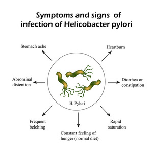 幽门螺杆菌图片