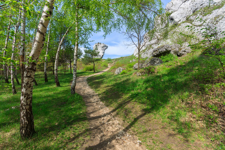 Ogrodzieniec 城堡附近森林小路, 波兰