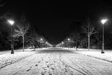晚上在公园里下雪后。白色道路, 长凳, 街道 la