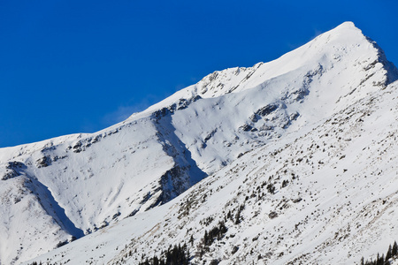 冬山风景