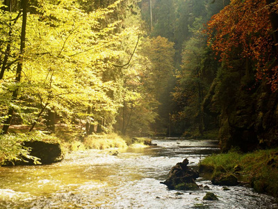 秋季自然。美丽的秋天森林与山河和五颜六色的树