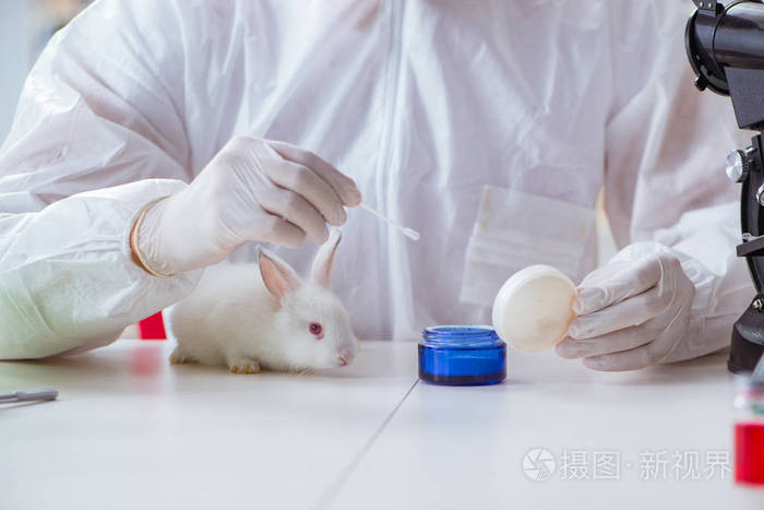 在科学实验中只白色的兔子
