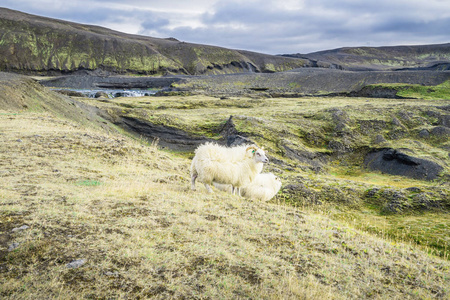 在冰岛国家公园 Landmannalaugar