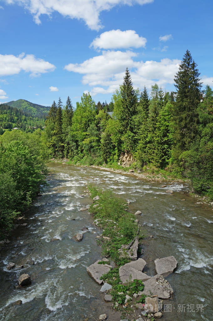 山上的普鲁特河迅速流过喀尔巴阡山山脉的山坡茂密的森林