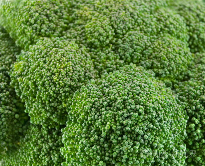 孤立新鲜绿色西兰花