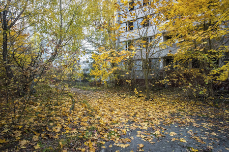 在秋季被遗弃的切尔诺贝利禁区普里皮亚季城市
