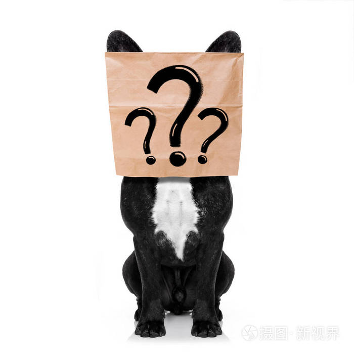 问号狗