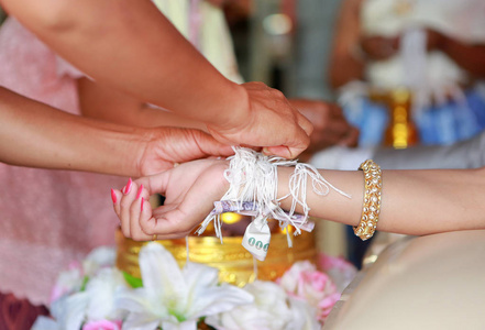 来自泰国的花朵图片