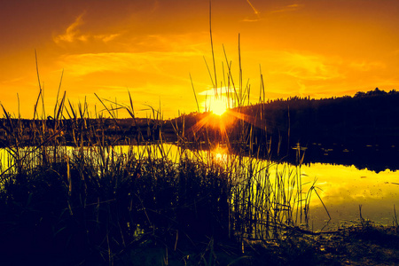 美丽的橙色日落或日出在森林和和平的水反射太阳光, 温暖的风景在自然