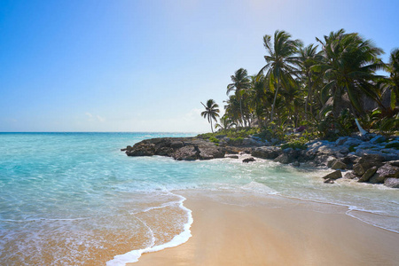图卢姆加勒比海滩在里维埃拉玛雅
