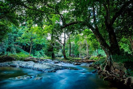 孔兰水溪落国家公园泰国