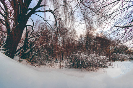 白雪皑皑的冬季风景