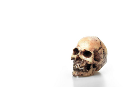 破裂的骷髅头骨头或头骨在白色背景和拷贝空间为文本, 亡概念, 危险